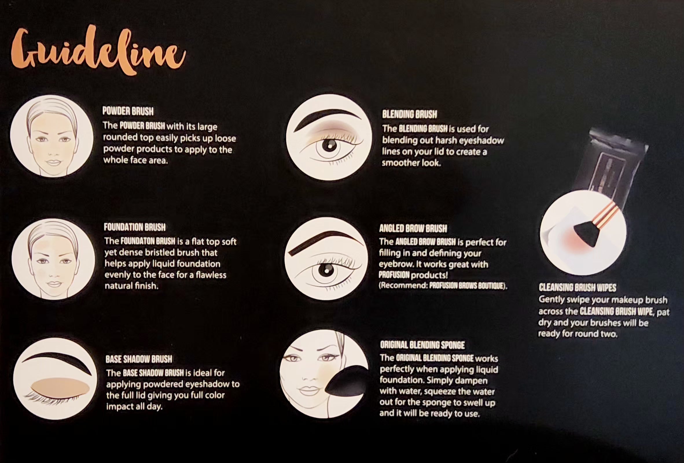 PROFUSION Studio Brush Set with Bonus