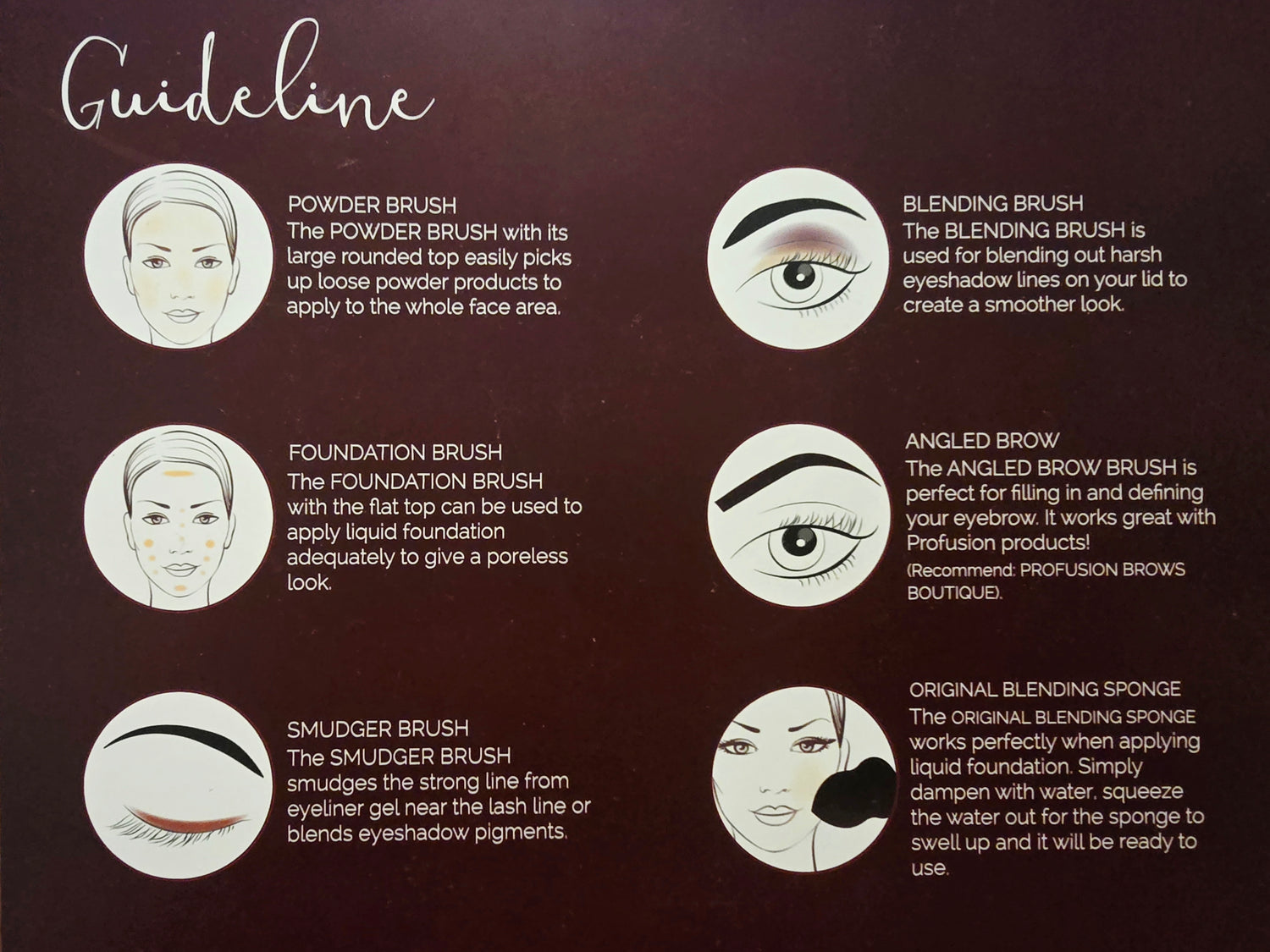 PROFUSION Studio Brush Vault with Bonus