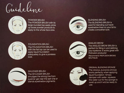 PROFUSION Studio Brush Vault with Bonus