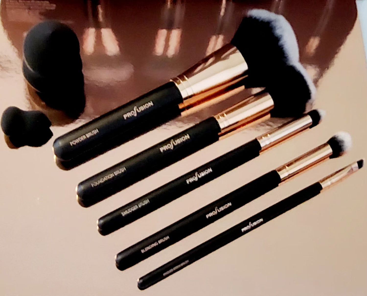 PROFUSION Studio Brush Vault with Bonus